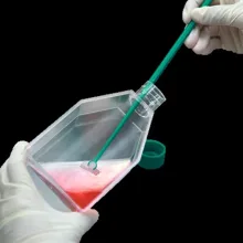 نحوه استفاده از فلاسک کشت سلولی