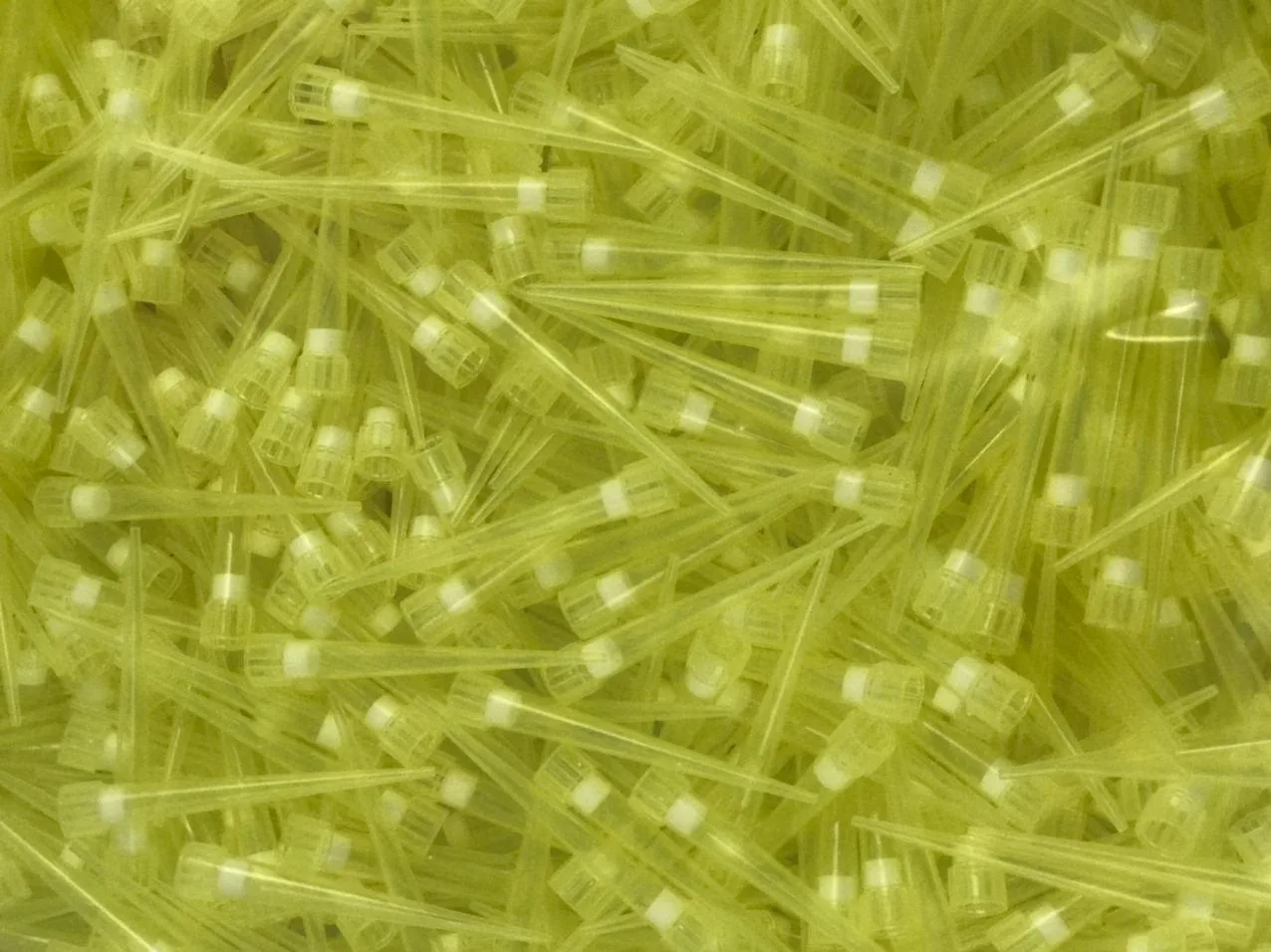 نوک سمپلر 200 لاندا RNase DNase FREE فیلتردار برند QC