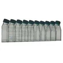 فلاسک کشت سلولی فیلتردار چسبنده 25 جت بایوفیل