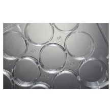 پلیت کشت سلولی نچسب 12 خانه تخت برند جت بایوفیل