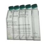 فلاسک کشت سلولی فیلتردار چسبنده 175 جت بایوفیل