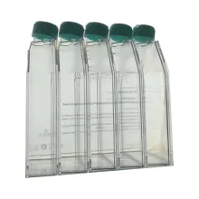 فلاسک کشت سلولی فیلتردار چسبنده 175 جت بایوفیل