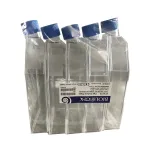 فلاسک کشت سلولی فیلتردار چسبنده 175 برند بیلوژیک