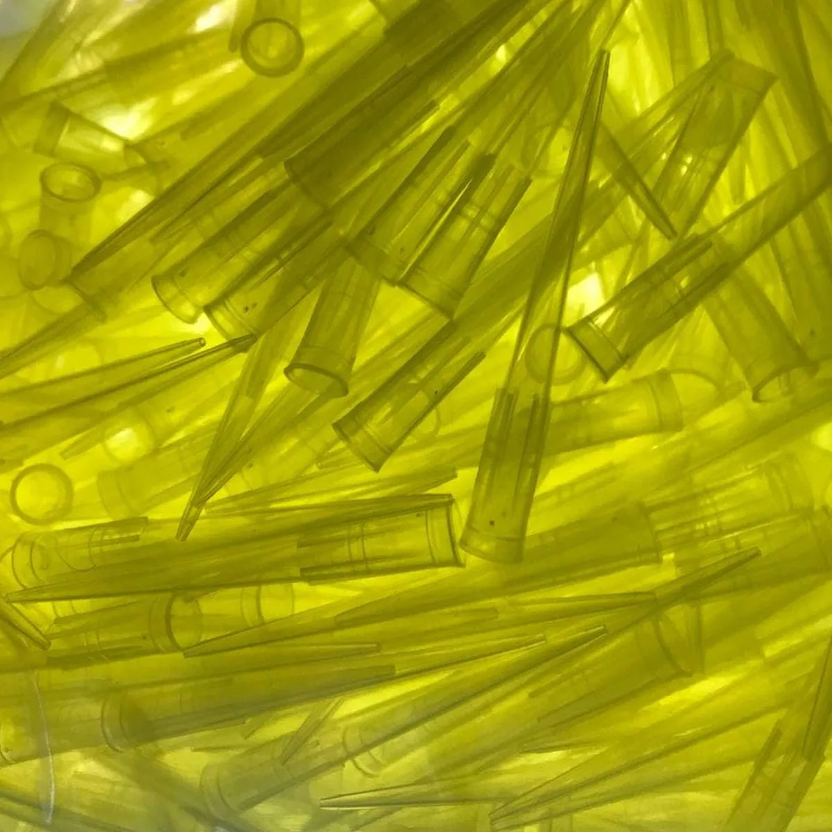 نوک سمپلر زرد 200 لاندا گیلسونی برند مکسول 1000 عددی