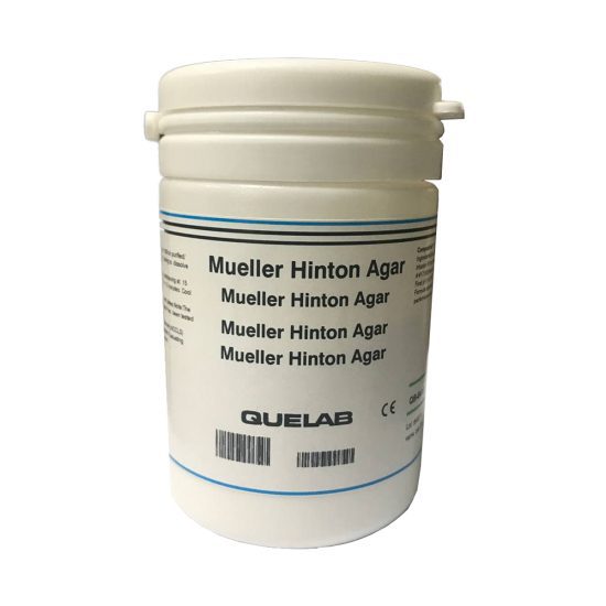 محیط کشت مولر هینتون آگار (Mueller Hinton Agar ) کیولب