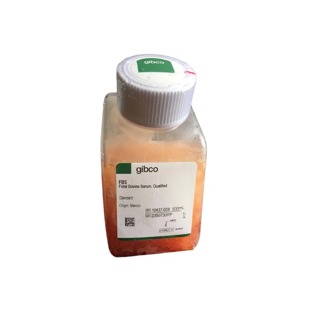 سرم جنین گاوی FBS برند جیبکو 500 سی سی