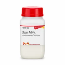 ژلاتین گاوی Type B سیگما آلدریچ 100 گرم کد G9391